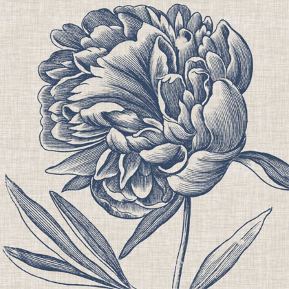 Picture of INDIGO FLORAL ON LINEN II