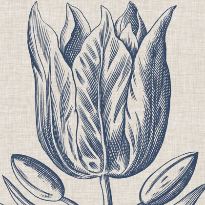 Picture of INDIGO FLORAL ON LINEN VI