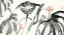 Picture of LOTUS STUDY WITH CORAL I
