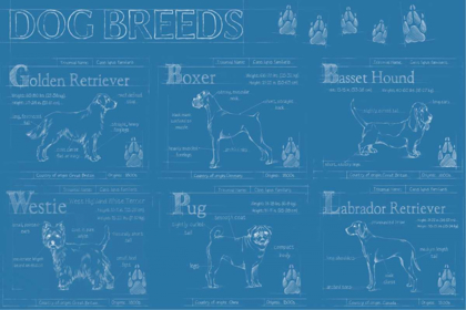 Picture of DOG BREEDS INFOGRAPH