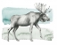 Picture of ANIMALE III