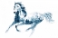 Picture of SAPPHIRE GALLOP II