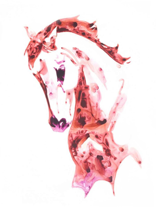 Picture of GARNET HORSE II