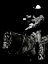 Picture of SCRATCHBOARD RODEO II