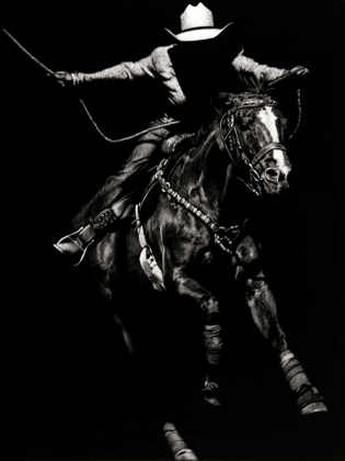 Picture of SCRATCHBOARD RODEO III