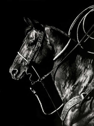 Picture of SCRATCHBOARD RODEO V