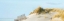 Picture of BEACHSCAPE I