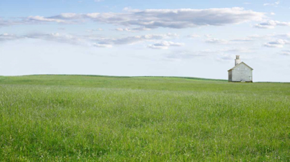 Picture of FARM AND COUNTRY I