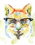Picture of SMARTY-PANTS FOX