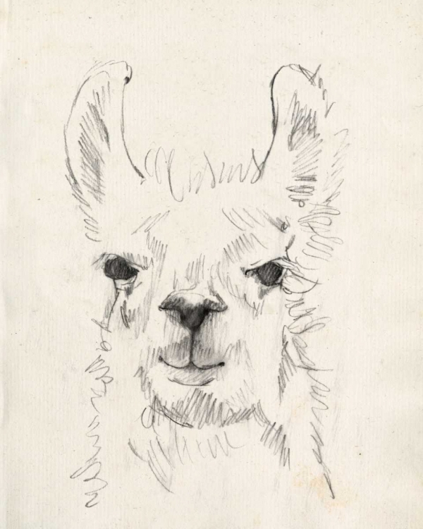 Picture of LLAMA PORTRAIT I