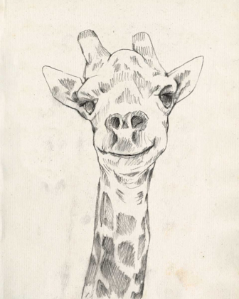 Picture of GIRAFFE PORTRAIT I