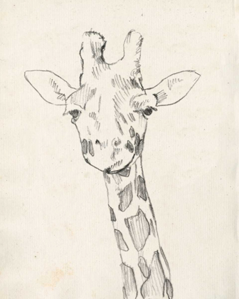 Picture of GIRAFFE PORTRAIT II