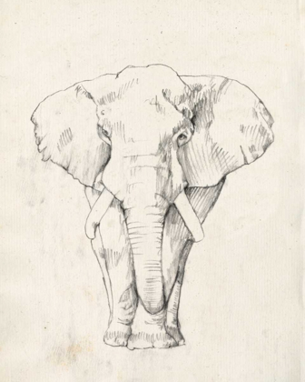 Picture of ELEPHANT PORTRAIT I