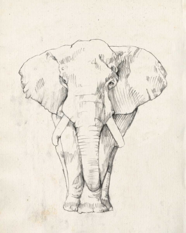 Picture of ELEPHANT PORTRAIT I