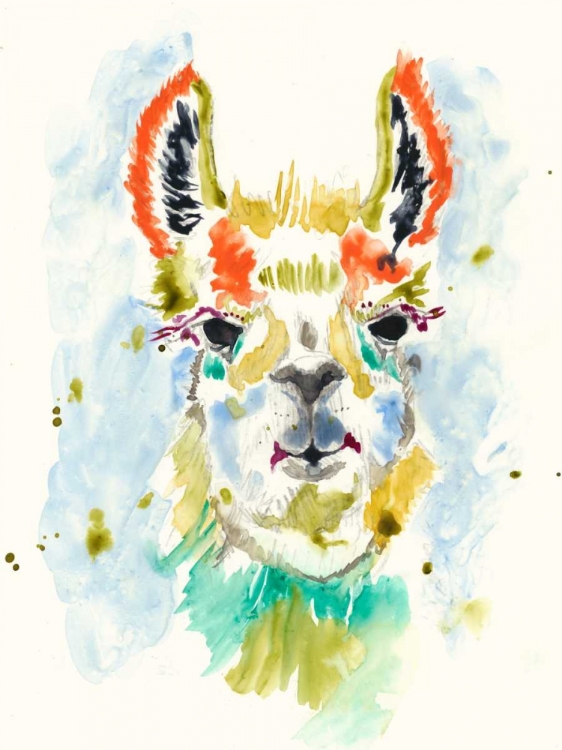 Picture of HIFI LLAMA I