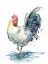 Picture of ROOSTER SPLASH I