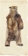 Picture of BROWN BEAR STARE I