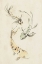 Picture of KOI DANCE II