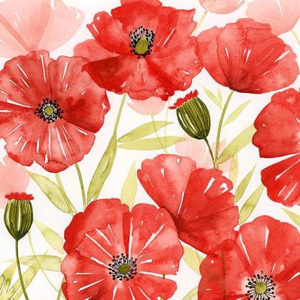 Picture of POPPY SCREEN I