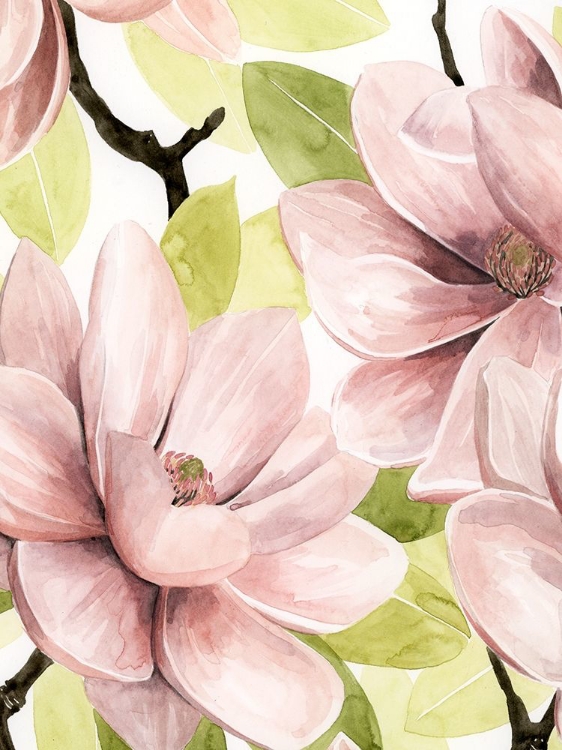 Picture of BLUSH MAGNOLIA I