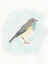 Picture of DAPPER BIRD I