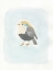 Picture of DAPPER BIRD II