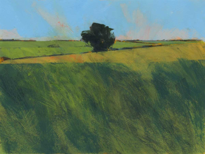 Picture of LONE HEDGEROW TREE