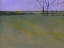 Picture of MILLFIELDS