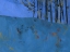 Picture of TOKEN TREES