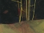 Picture of INTO THE DARK WOOD
