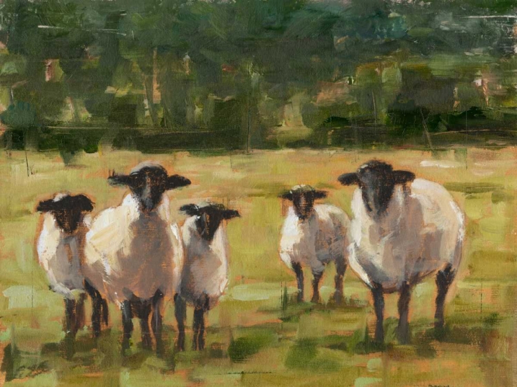 Picture of SHEEP FAMILY I