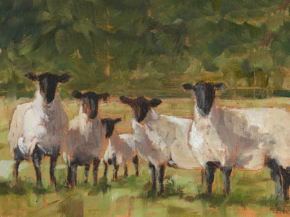 Picture of SHEEP FAMILY II