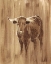 Picture of WOOD PANEL LONGHORN