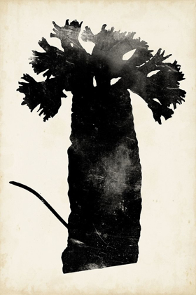 Picture of FERN SILHOUETTE II