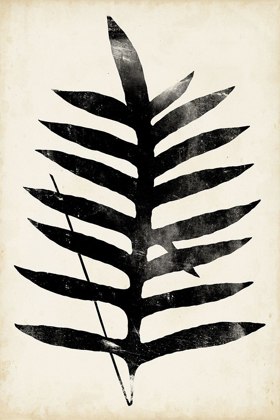 Picture of FERN SILHOUETTE III