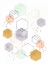 Picture of HEX SCATTER I