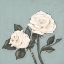 Picture of TWO TAN ROSES