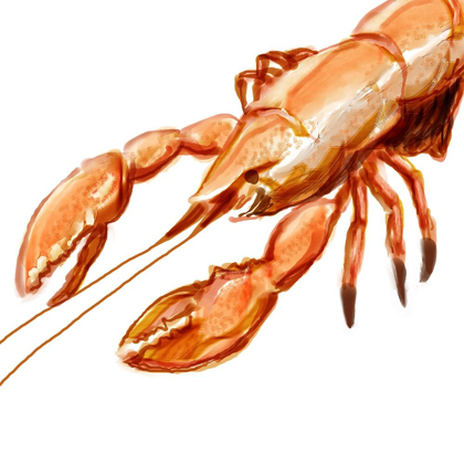 Picture of ILLUSTRATED LOBSTER I