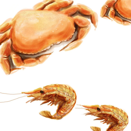 Picture of ILLUSTRATED CRAB