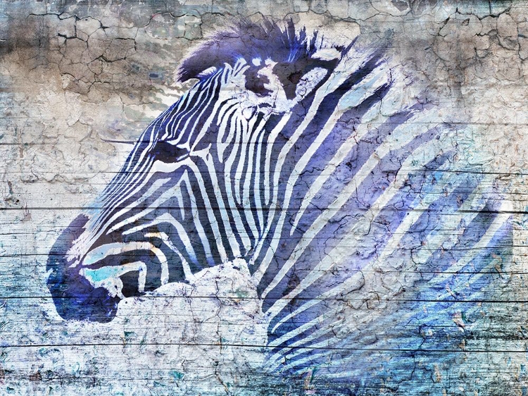 Picture of PURPLE ZEBRA