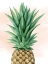 Picture of PINEAPPLE ON CORAL I