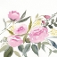Picture of ROSEBUD WATERCOLOR I