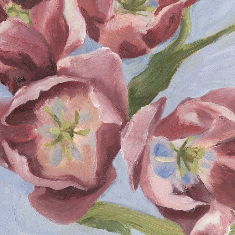 Picture of MAUVE TULIPS I