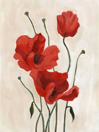 Picture of POPPY BOUQUET II