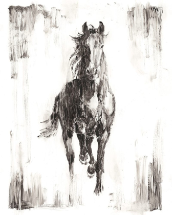 Picture of RUSTIC BLACK STALLION I