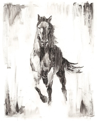 Picture of RUSTIC BLACK STALLION II