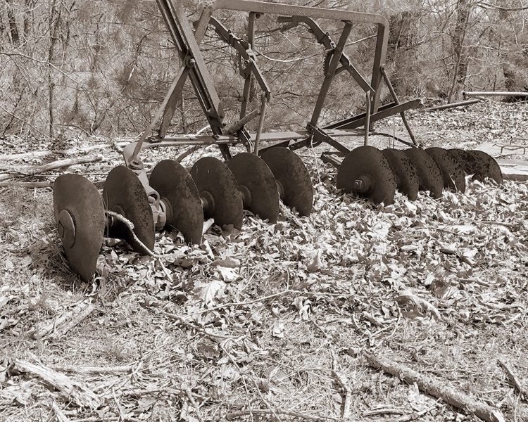 Picture of SEPIA FARM STUDY III