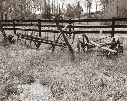 Picture of SEPIA FARM STUDY IV