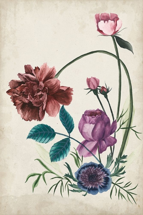 Picture of ANTIQUE PEONY II