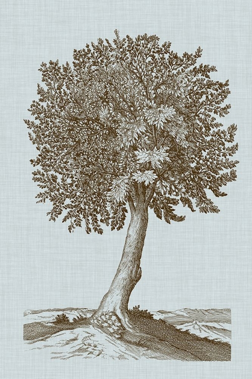 Picture of ANTIQUE TREE IN SEPIA I